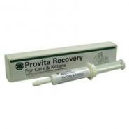Pharmavet Provita Recovery 15ml Cat & Kitten
