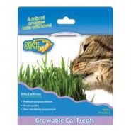 Cosmic Catnip Kitty Grass