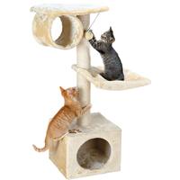 Cat Scratching Posts