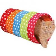 Trixie Cat Playing Tunnel
